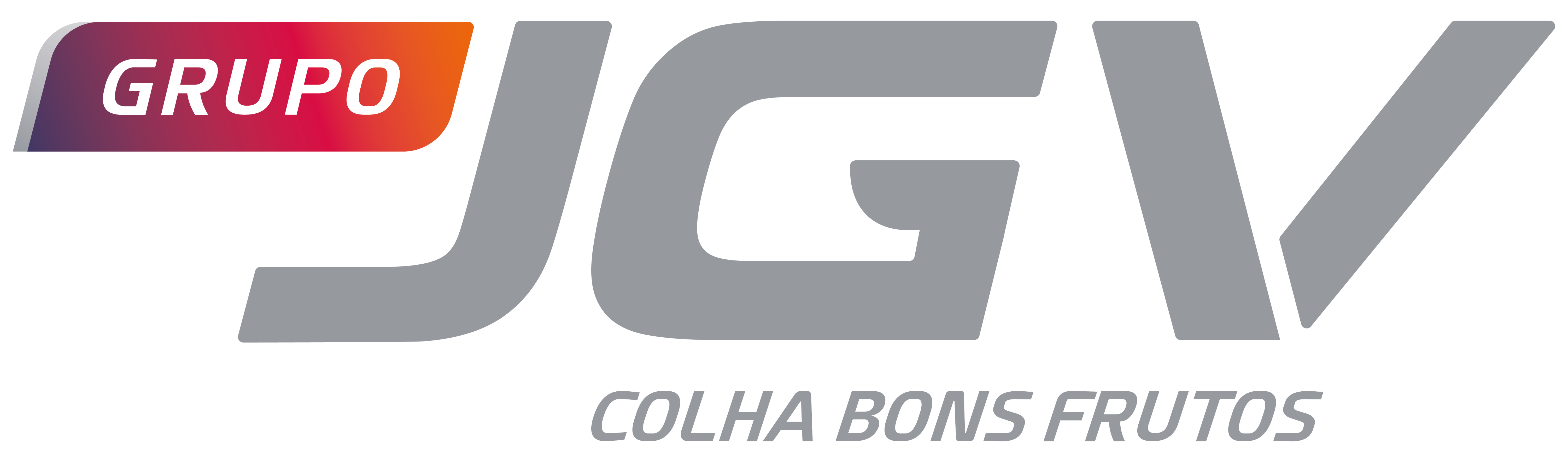 Grupo JGV
