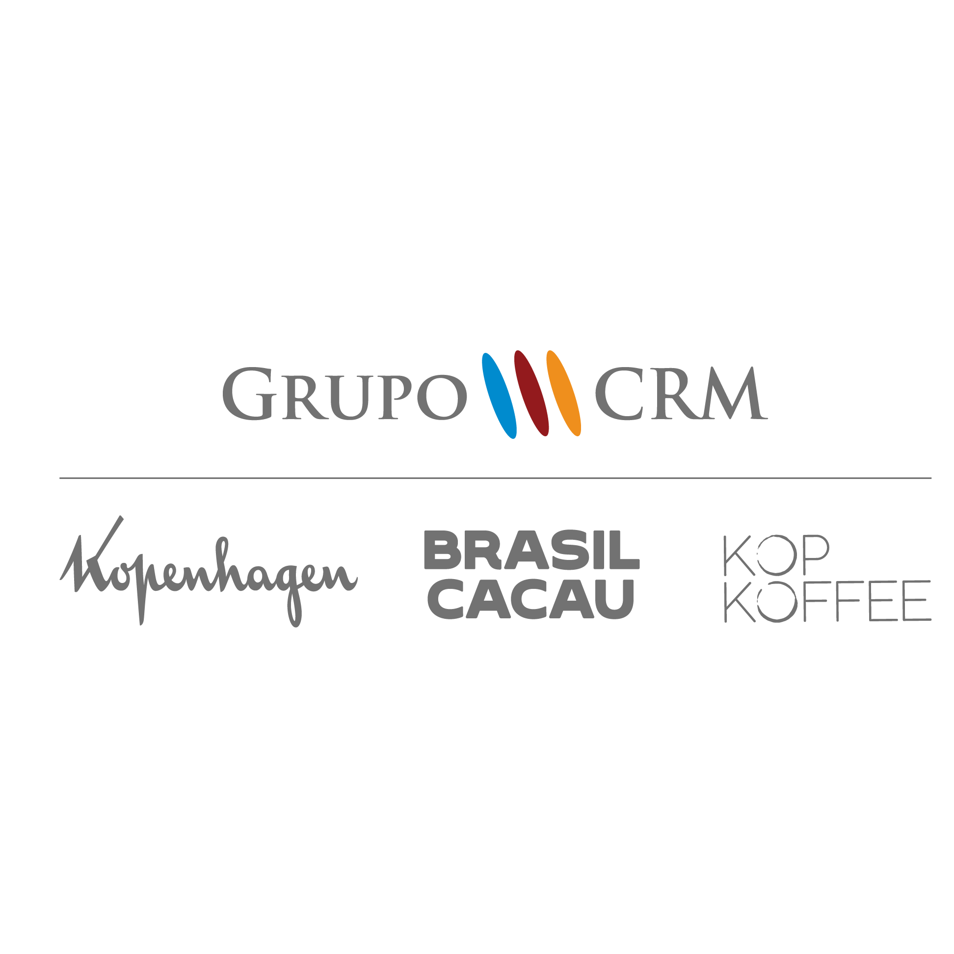 Grupo CRM