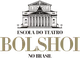 Instituto Escola do Teatro Bolshoi no Brasil