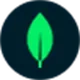 MongoDB