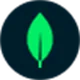 MongoDB