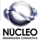 Nucleoengenharia