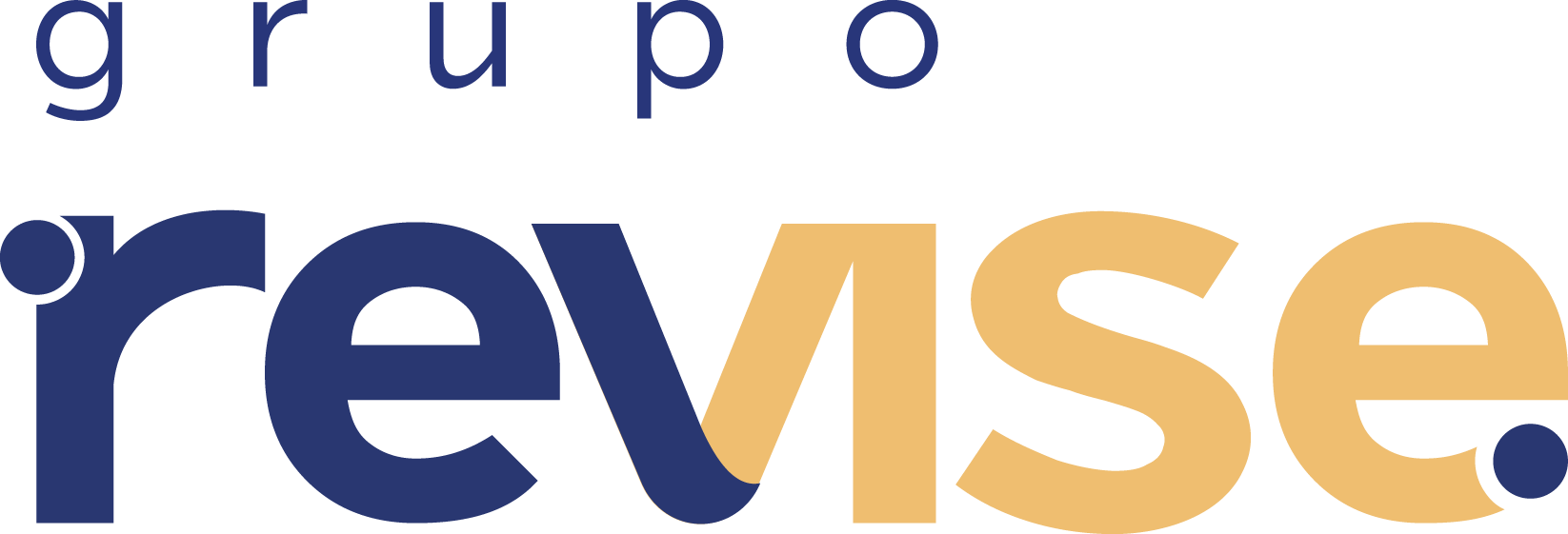Revise Comércio Ltda